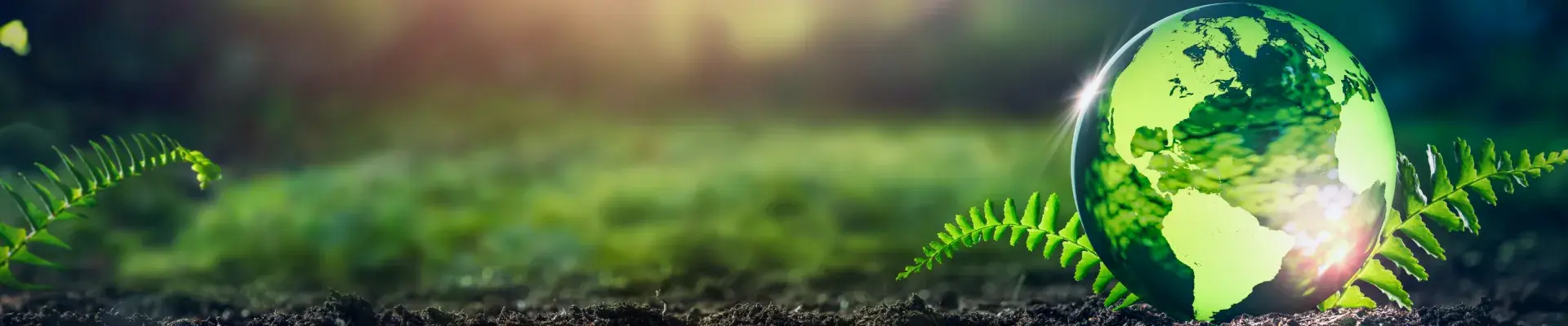 Environmental Impact Report Page
