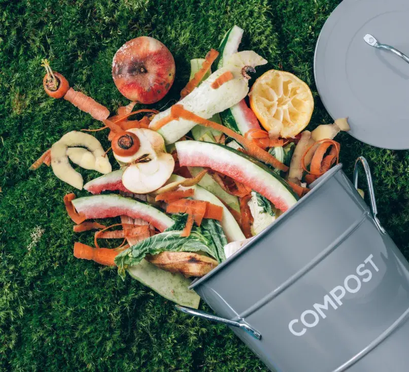 Compost Bin