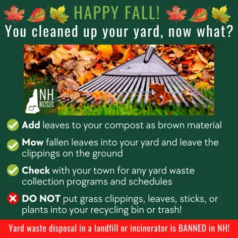 Fall Cleanup Recycling Education