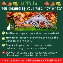 Fall Cleanup Recycling Education