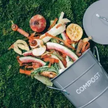 Compost Bin