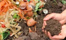 Food scraps and compost in hand