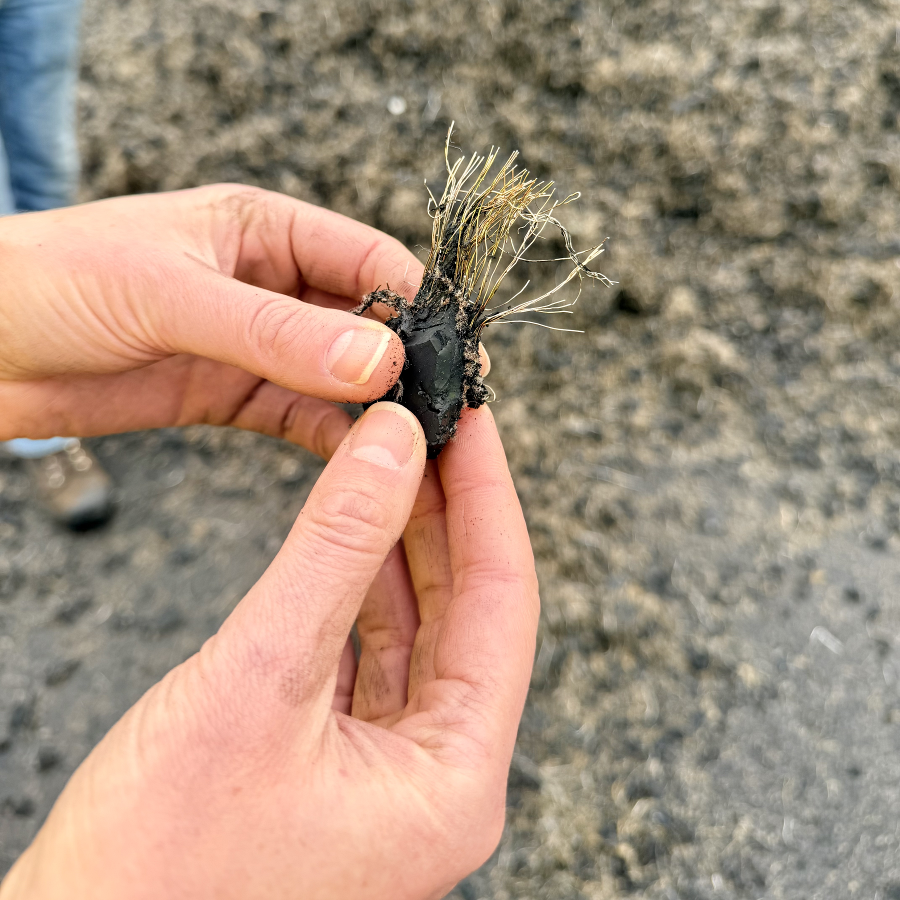 nylon and wire in a car tire piece