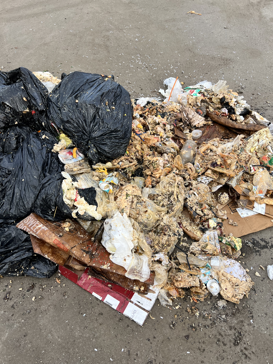 a heap of trash, mostly food waste (looks gross)