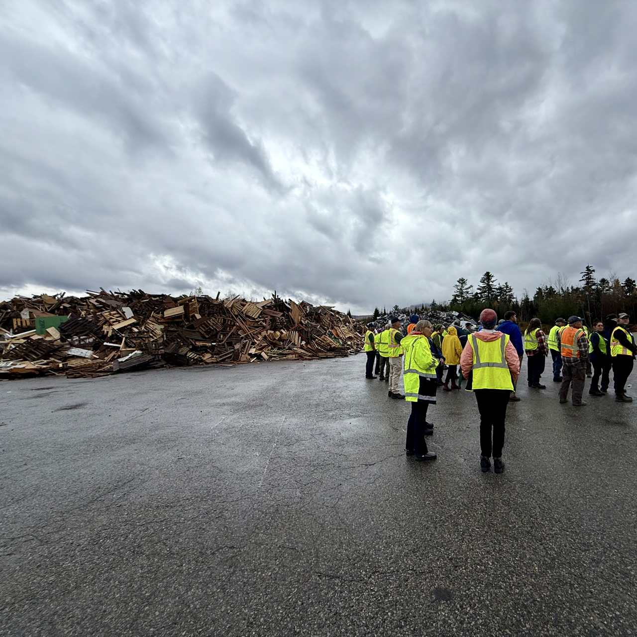 group walking past wood and metals piles