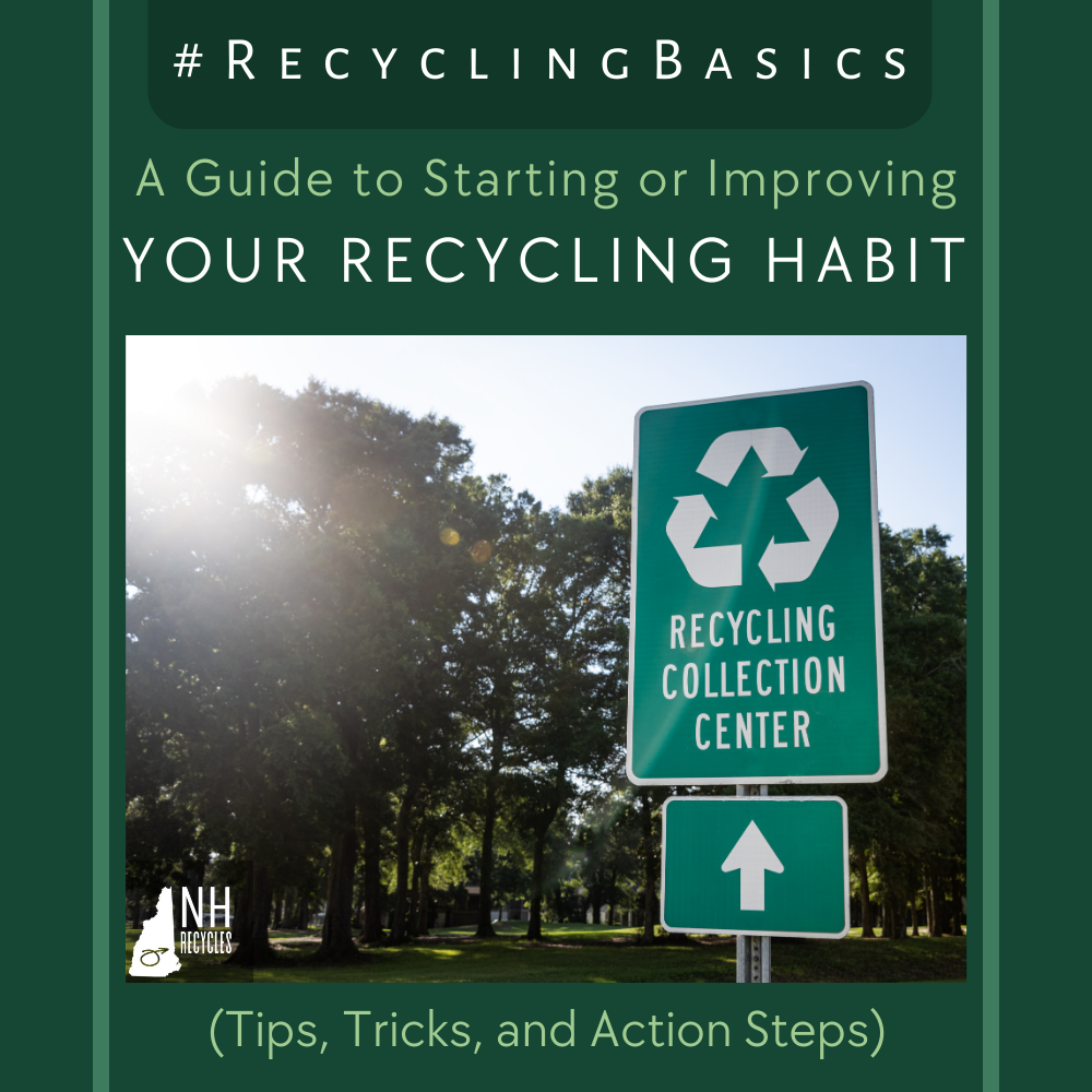 Dark trees and signs with recycling collection center text
