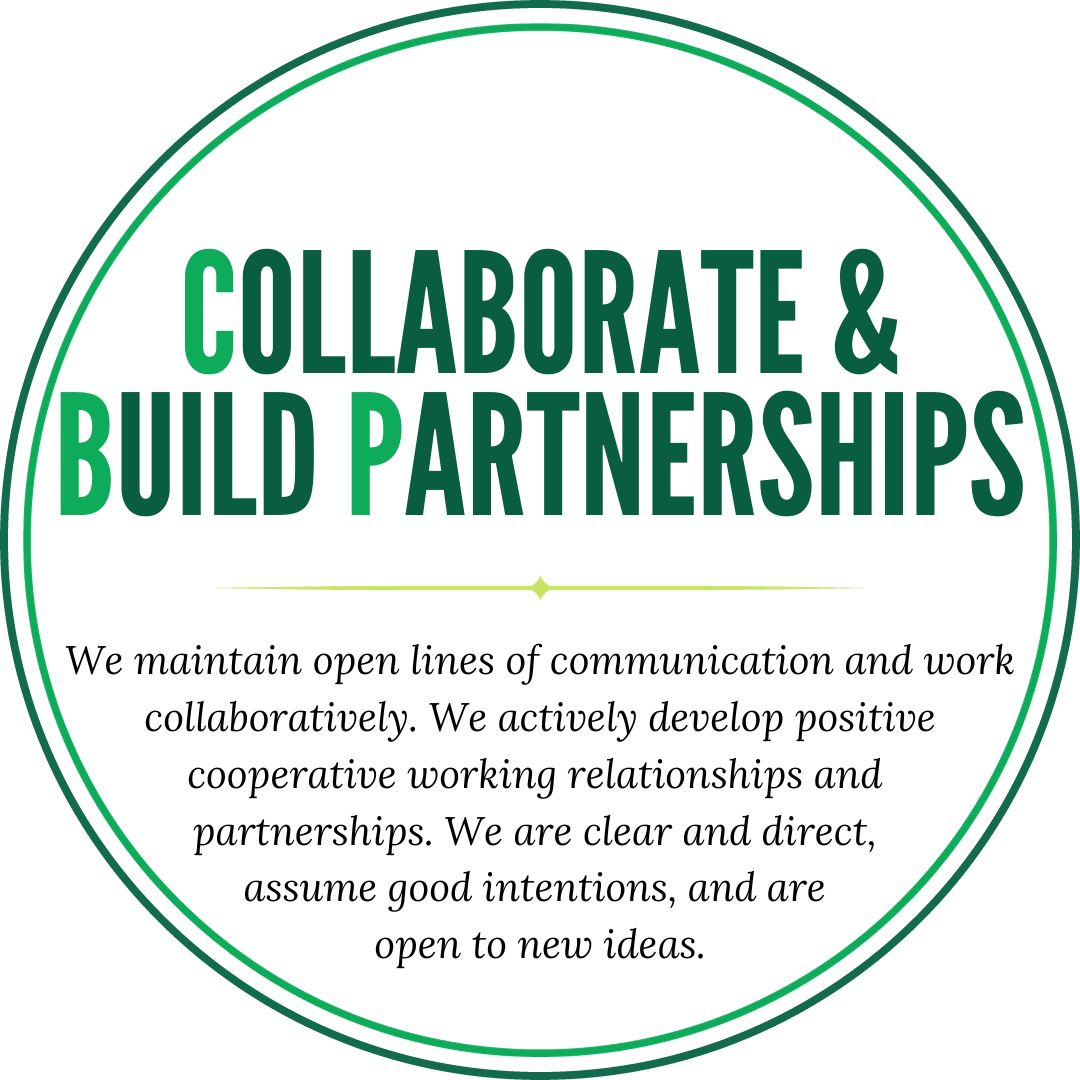 Collaborate and build partnerships